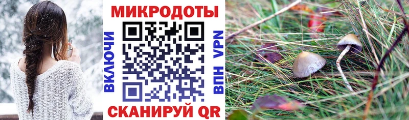 где купить   Спасск  Псилоцибиновые грибы прущие грибы 