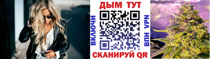 Бошки марихуана сатива  где можно купить наркотик  Спасск 